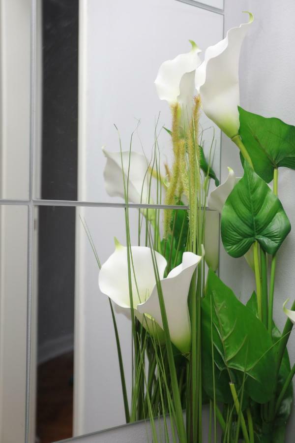 Skadar Apartment Bělehrad Exteriér fotografie